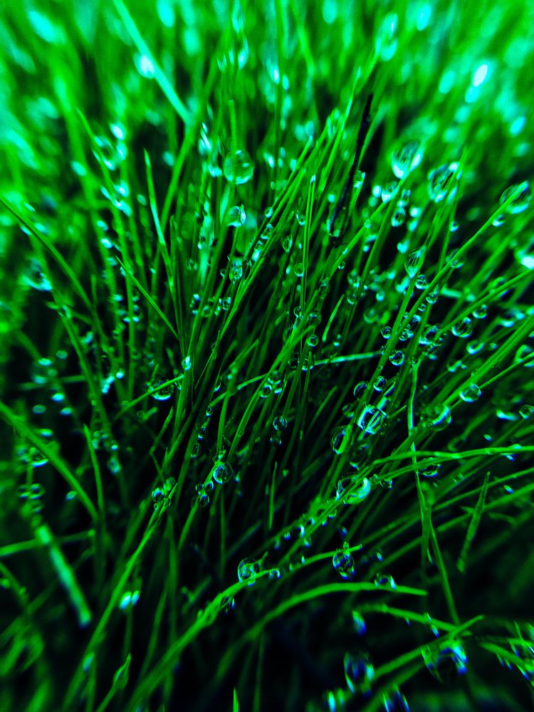 Photograph by Ксения