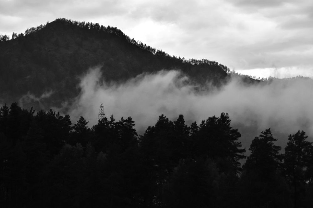 Photograph by Евгения Гунина