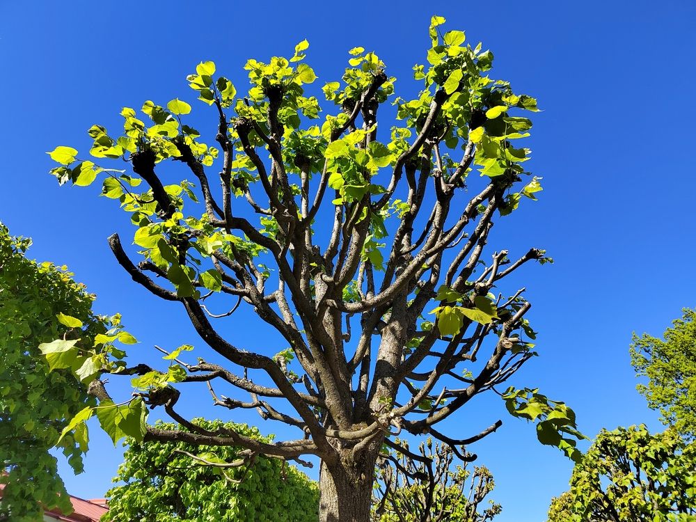 Photograph by Евгения Гунина