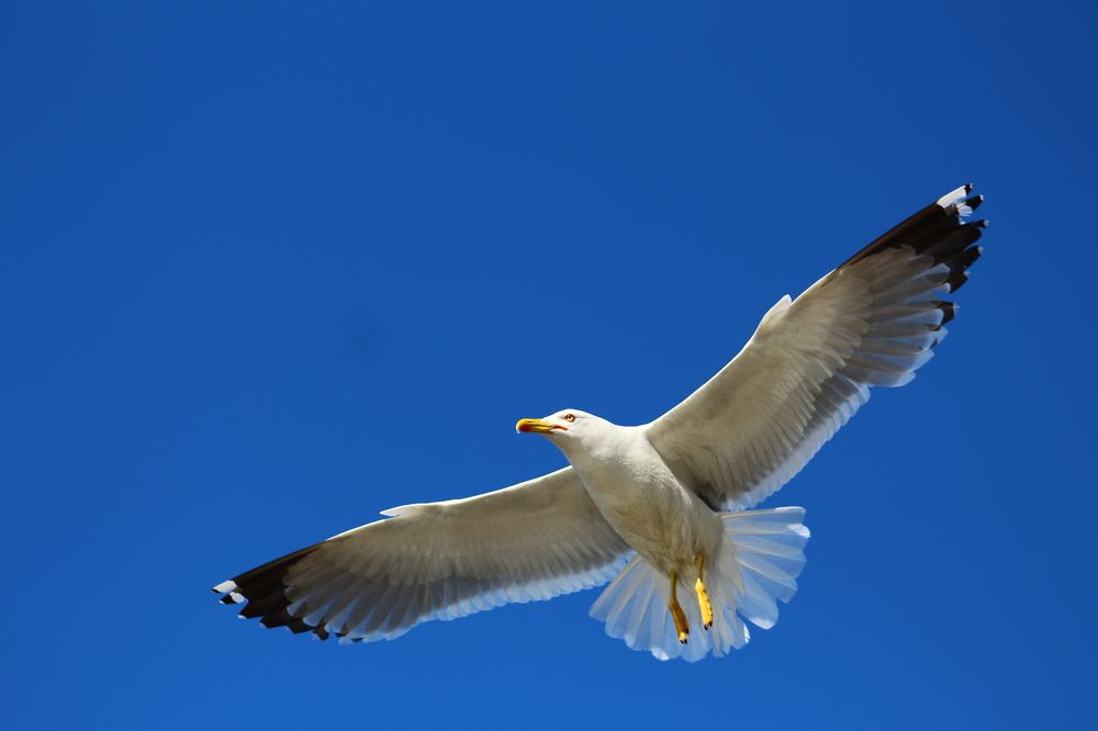 Photograph by Musa Abdulehed ER