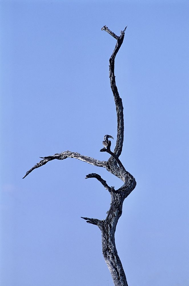 Фотография автора Михаил Копанс