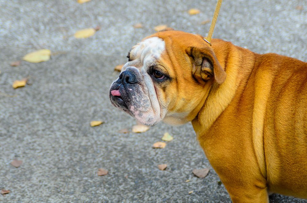 Photograph by Александр Калышенко