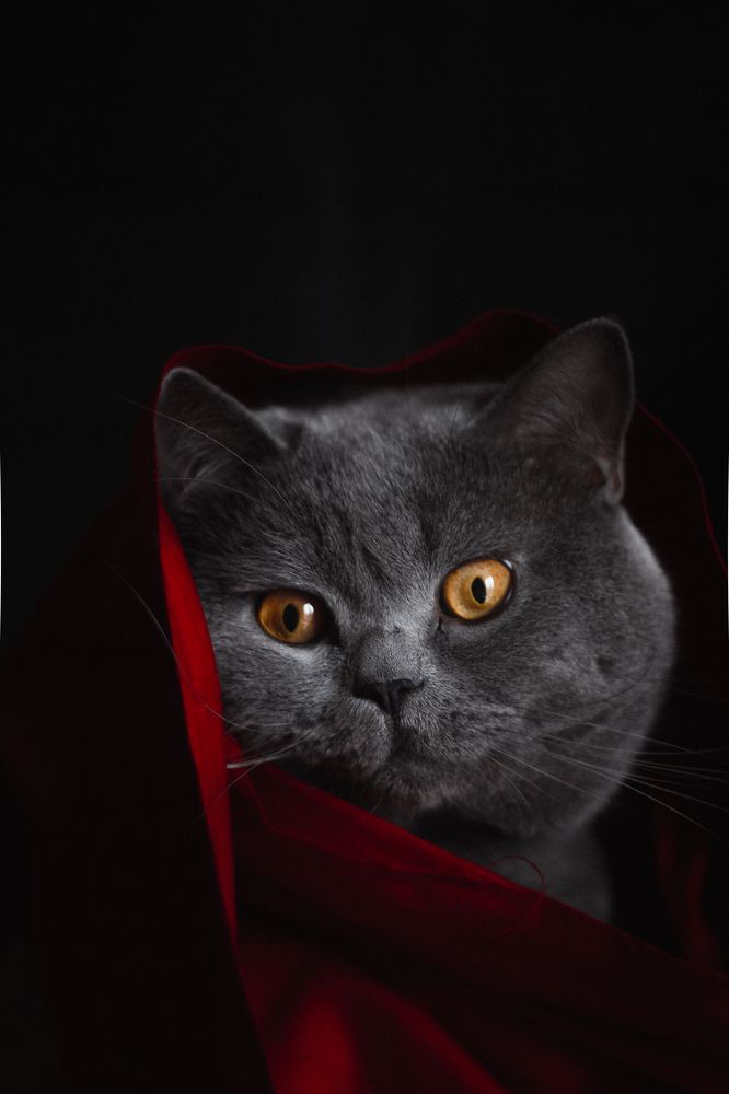 Photograph by Артём Корнев