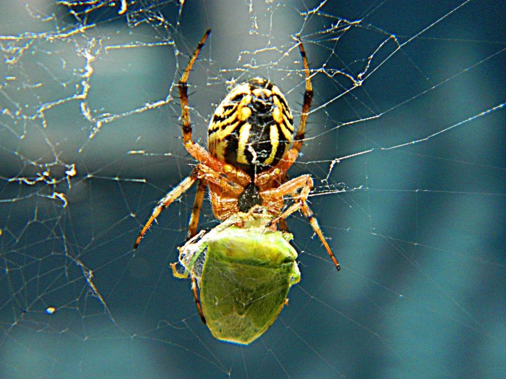 Фотография автора Сергей Рапопорт
