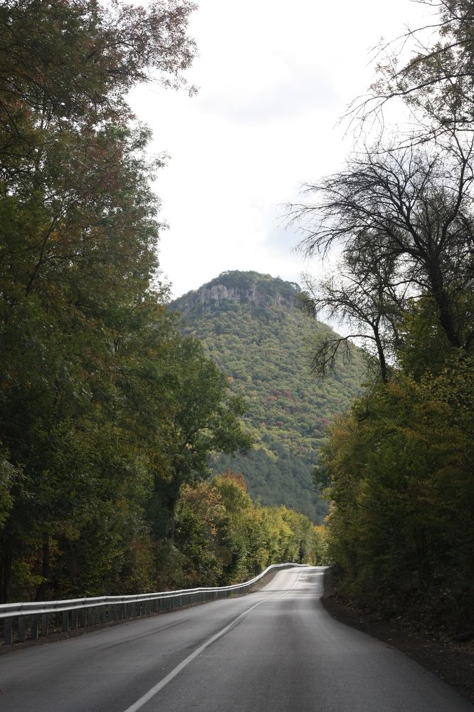 Photograph by Дарья Расшивина