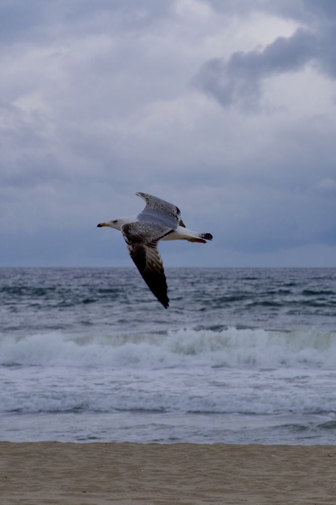 Photograph by Юлия