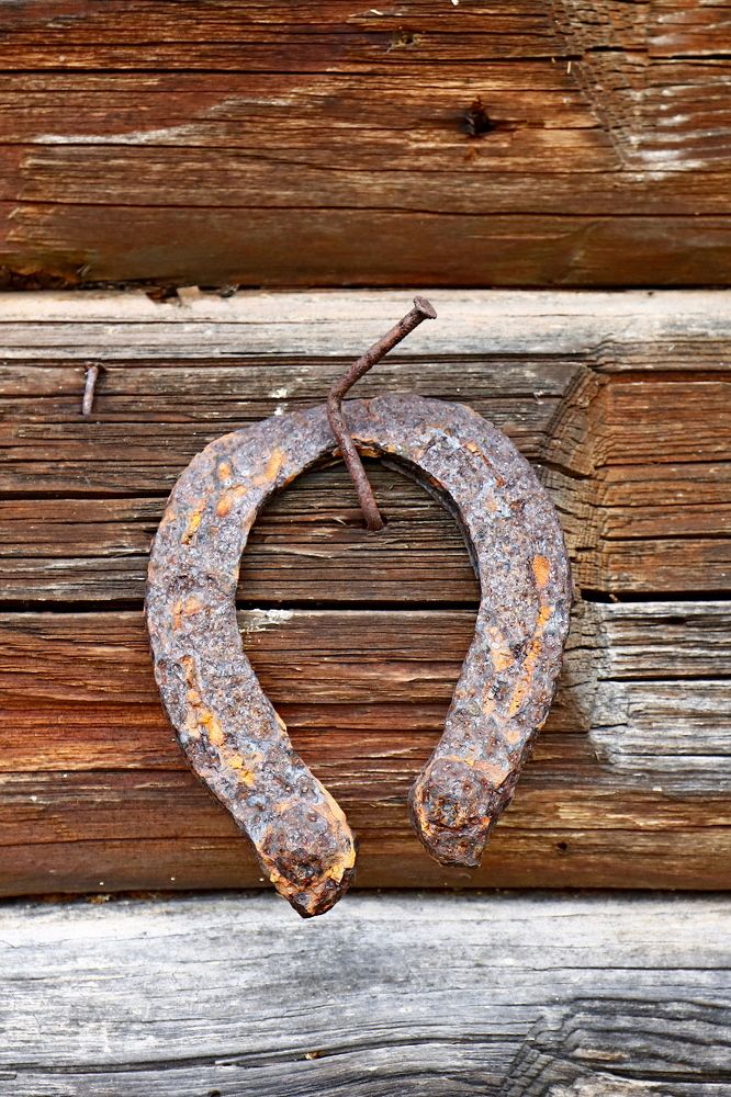 Photograph by Сергей Барановский