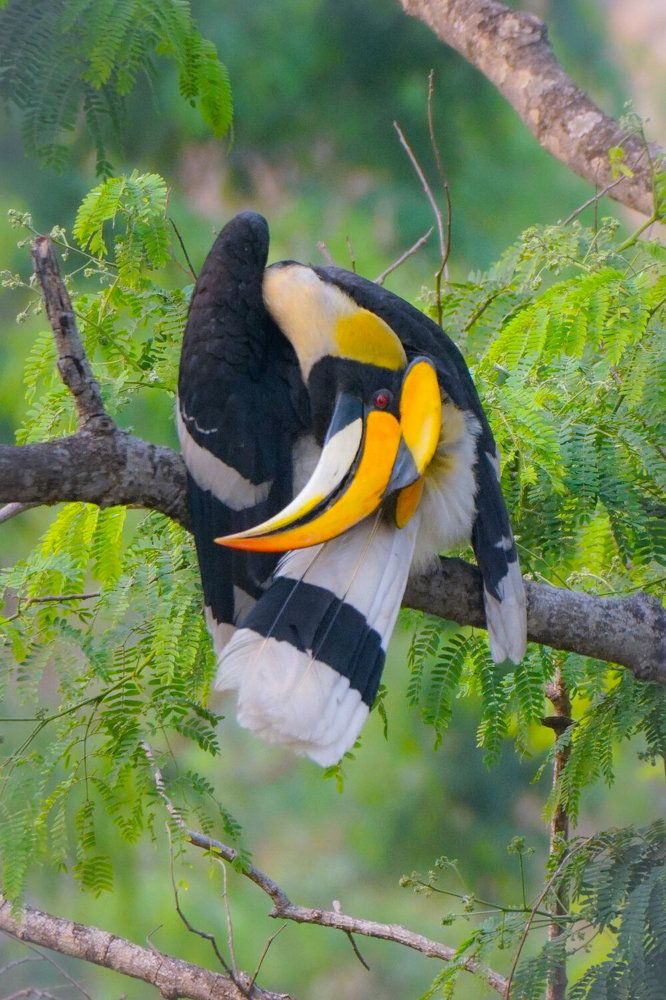 Photograph by Avijit Koner