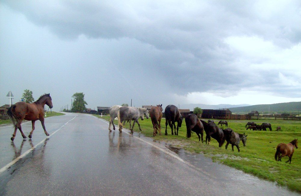 Фотография автора Мигун Александра