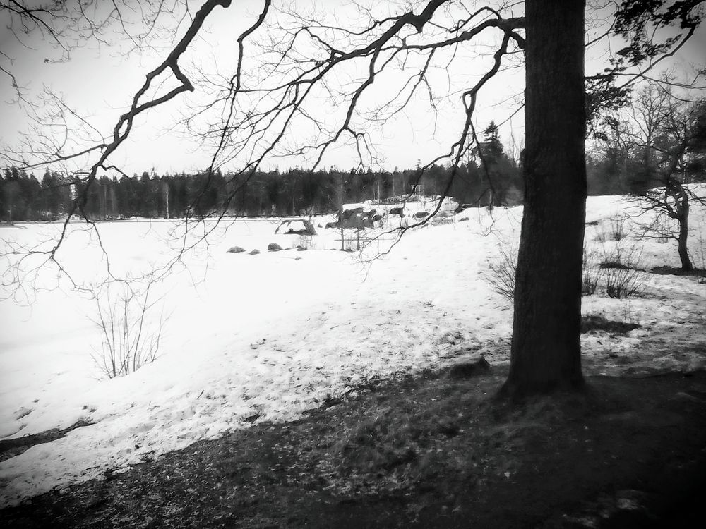 Фотография автора Irina Mihailovskaya