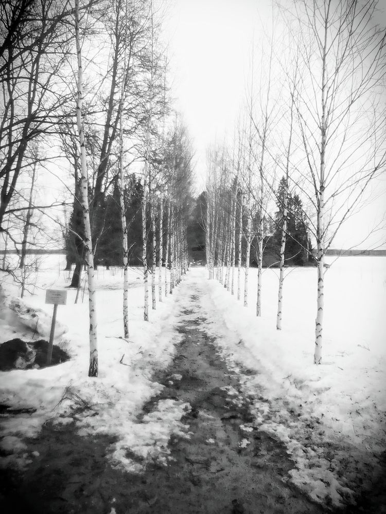 Фотография автора Irina Mihailovskaya