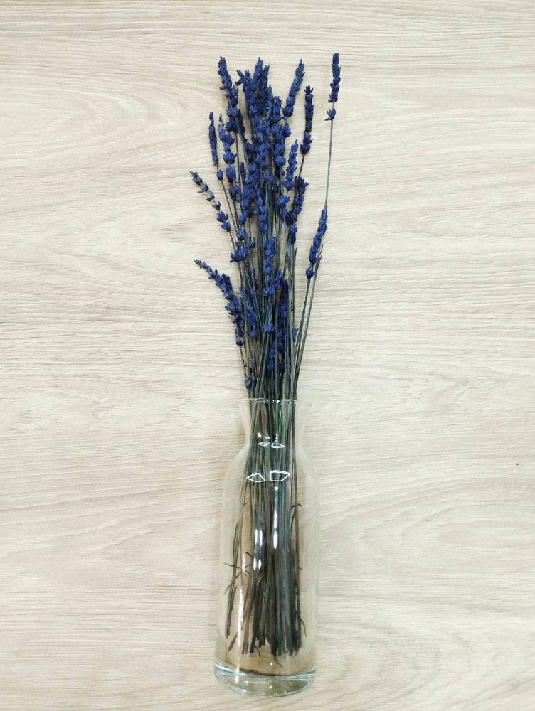 Photograph by Наталья Шёлкова