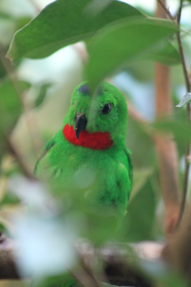 Photograph by Paulina Jarzyna