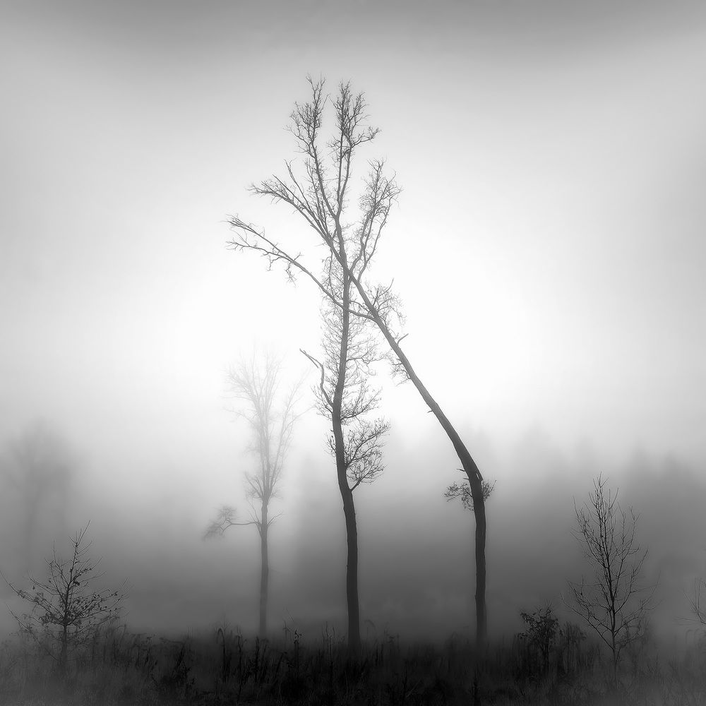 Фотография автора Михаил Копанс