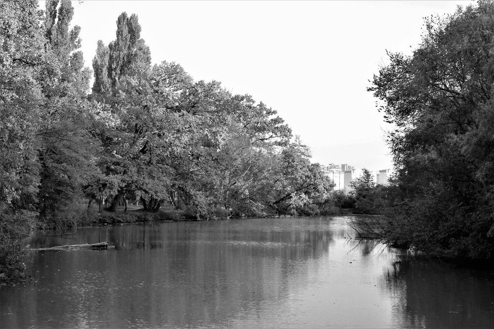 Photograph by Татьяна Долгушева