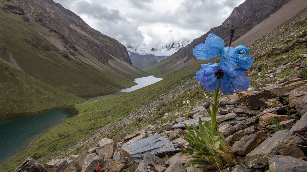 Photograph by Chencho Wangdi