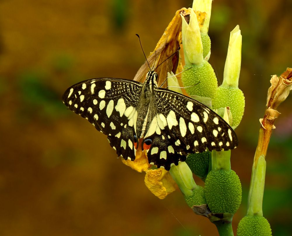 Photograph by Shweta Khandelwal