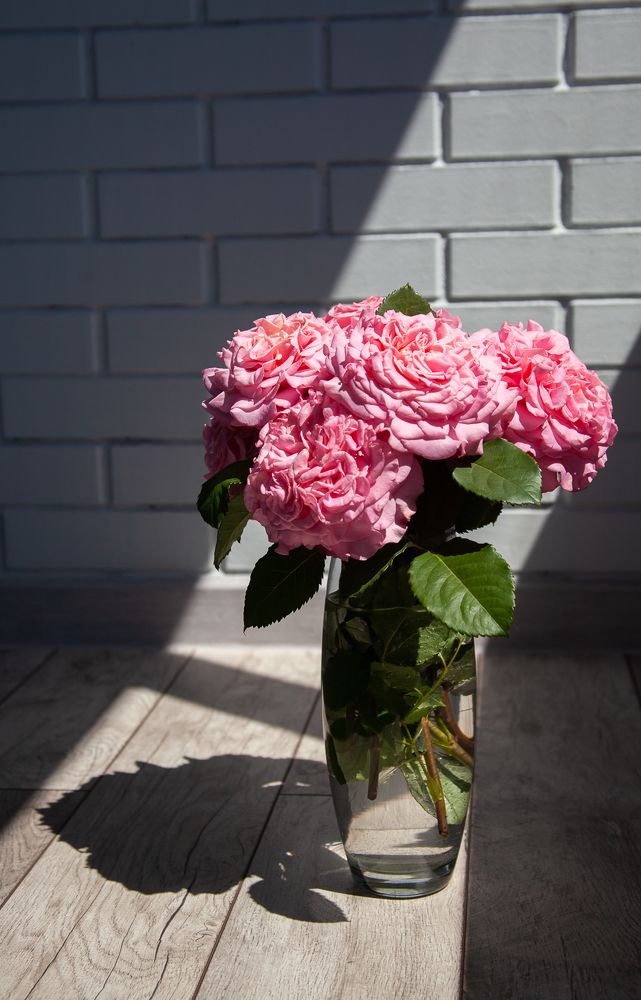 Photograph by Яна Токунова