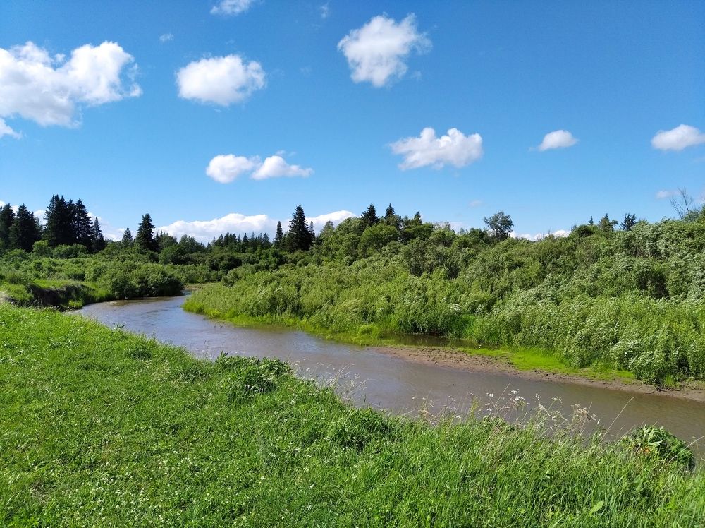 Фотография автора Анастасия