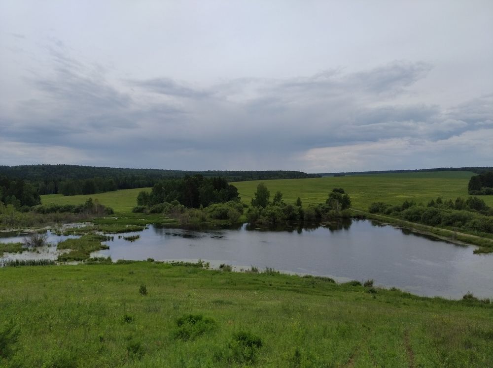 Заросший пруд