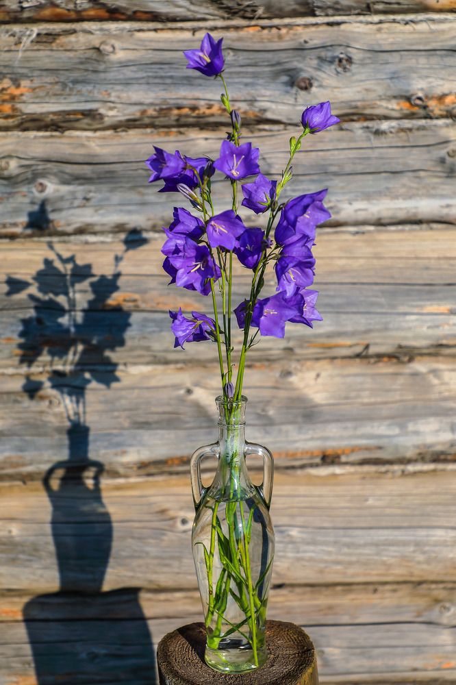 Фотография автора Юрий Фефилов