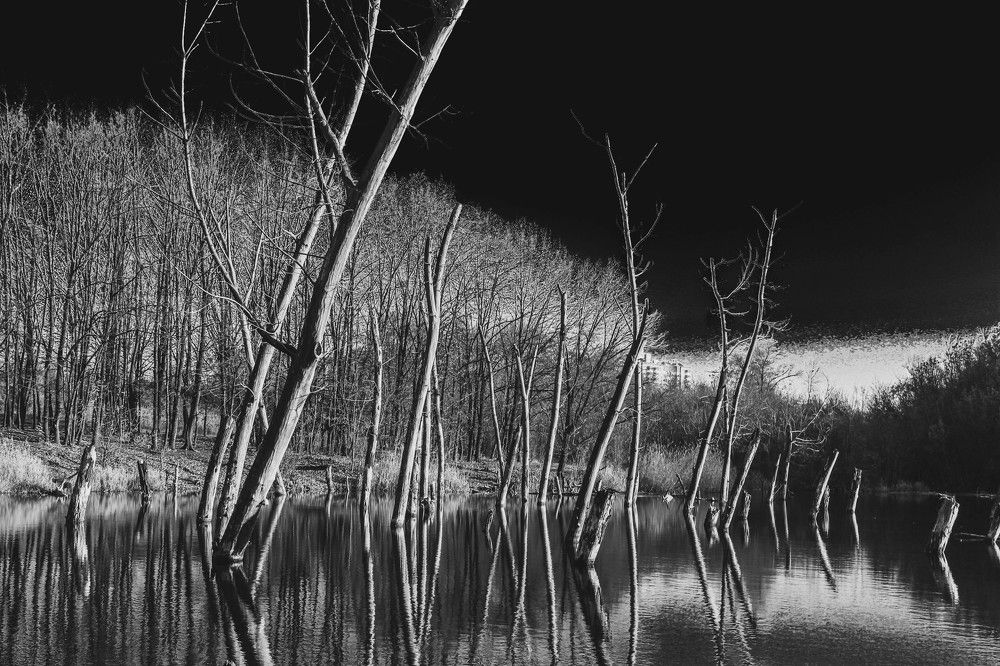 Photograph by Наталья Шёлкова