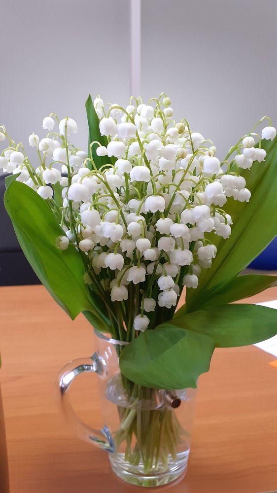 Фотография автора Елена Лещева