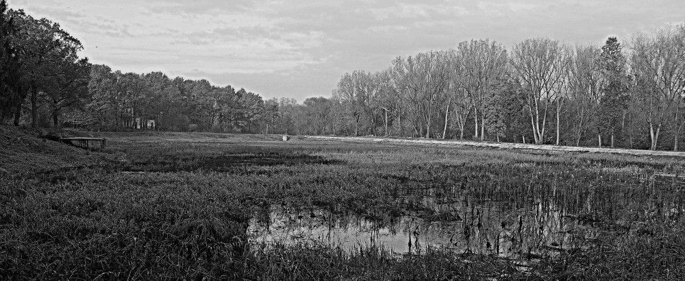 Фотография автора Сергей Рапопорт
