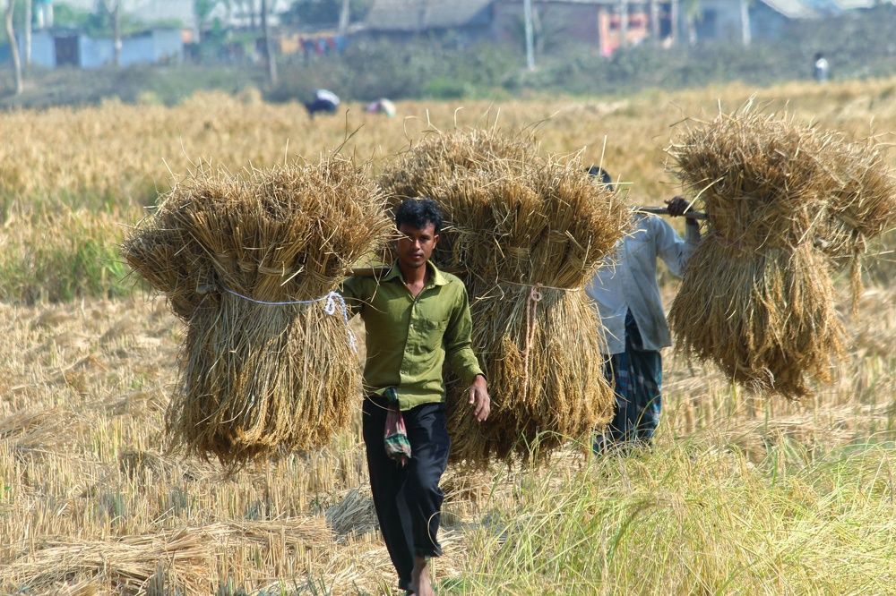 Photograph by Joy Mohonto