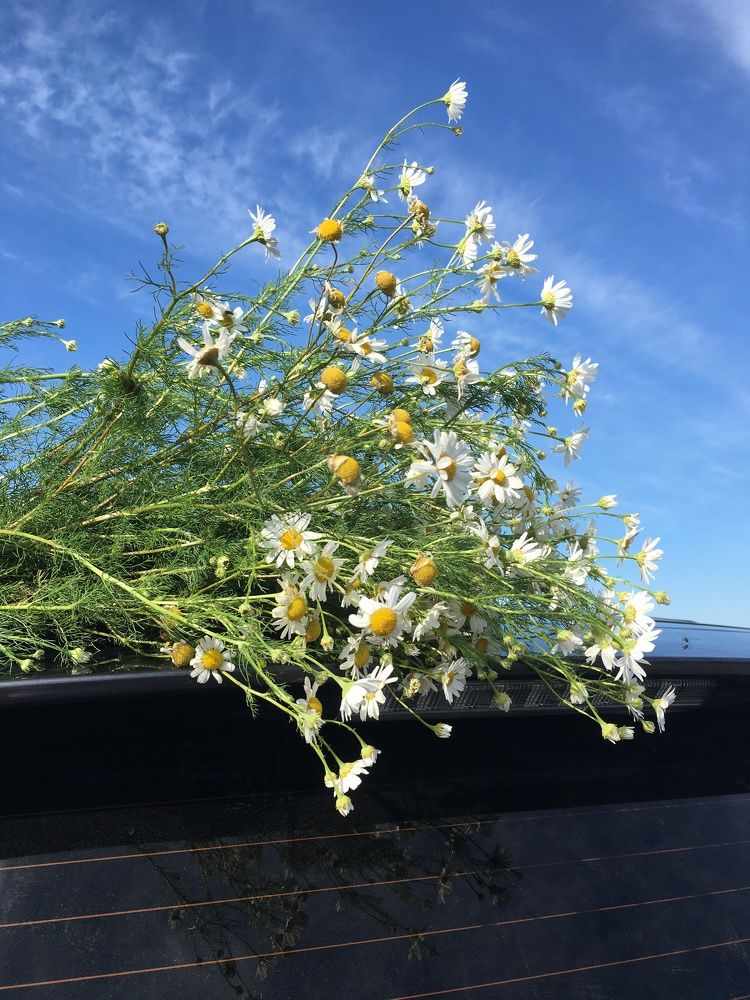 Photograph by Оксана Сербиненко