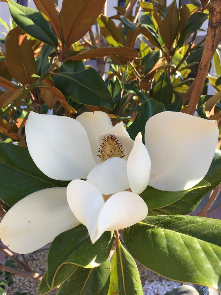 Photograph by Оксана Сербиненко