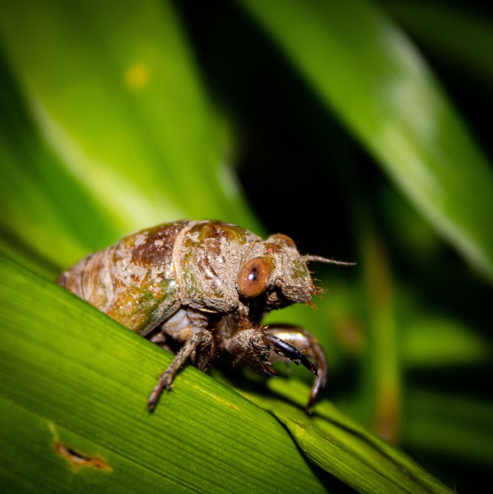 Photograph by Татьяна Хуссейн