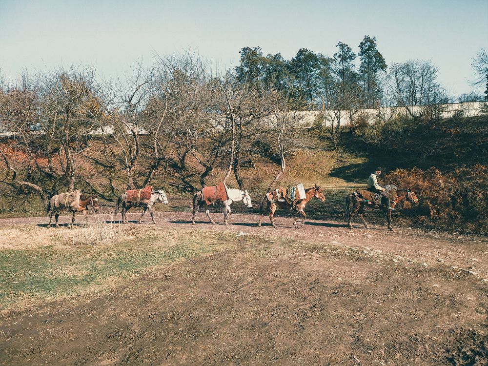 Photograph by Abdollah Fallah