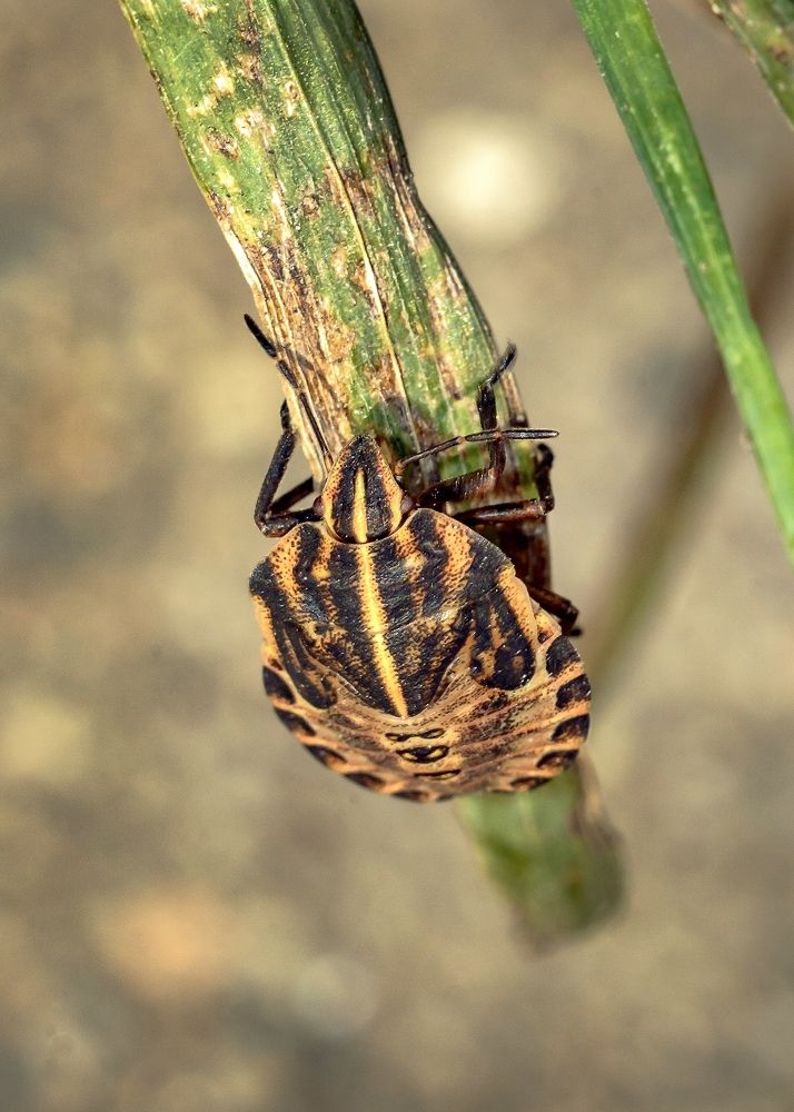 Photograph by Валерий Пегушев