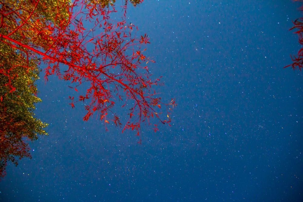 Фотография автора Ivan Karpoff