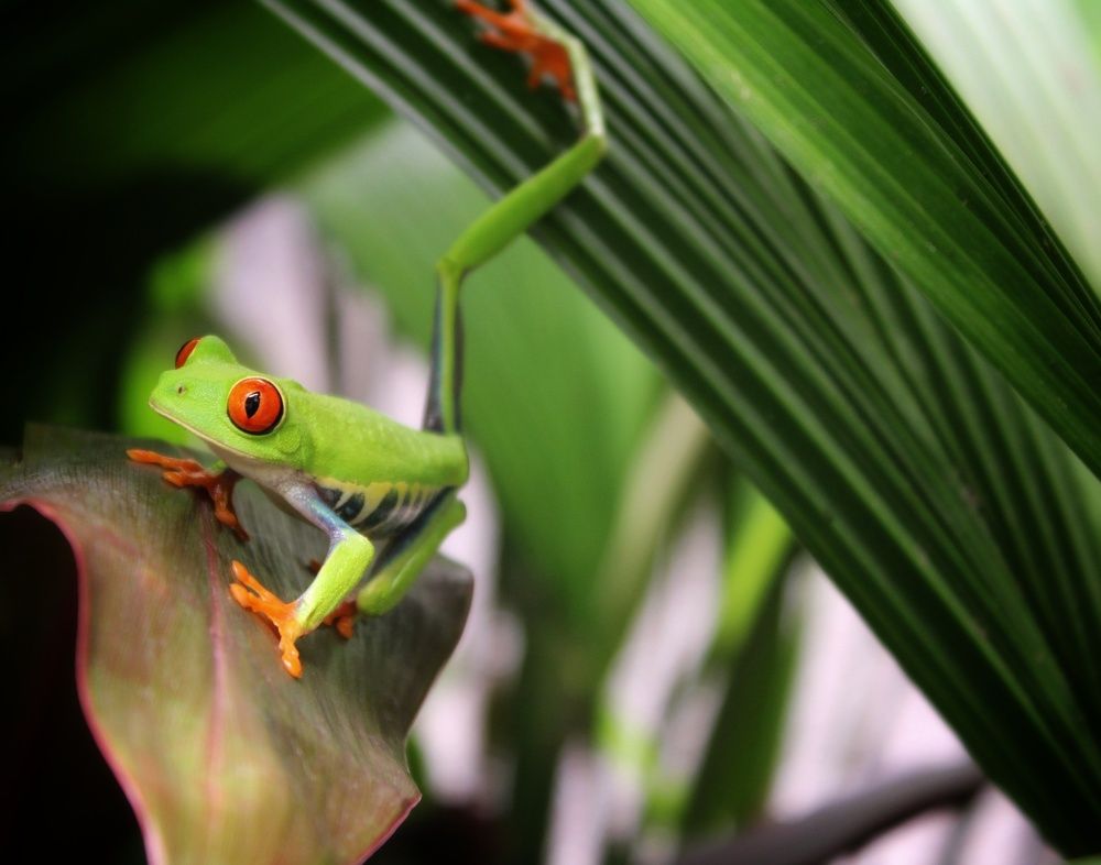 Photograph by Mauricio Mora Flores