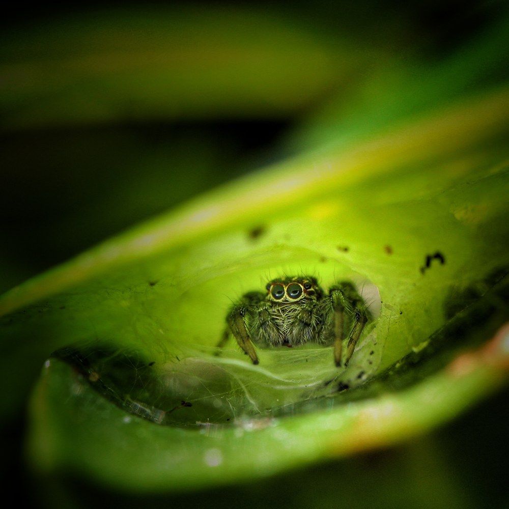 Photograph by Mauricio Mora Flores