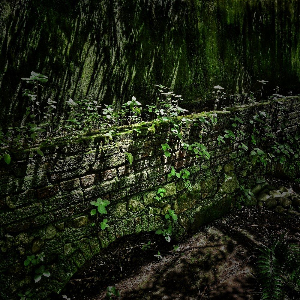 Photograph by Mauricio Mora Flores