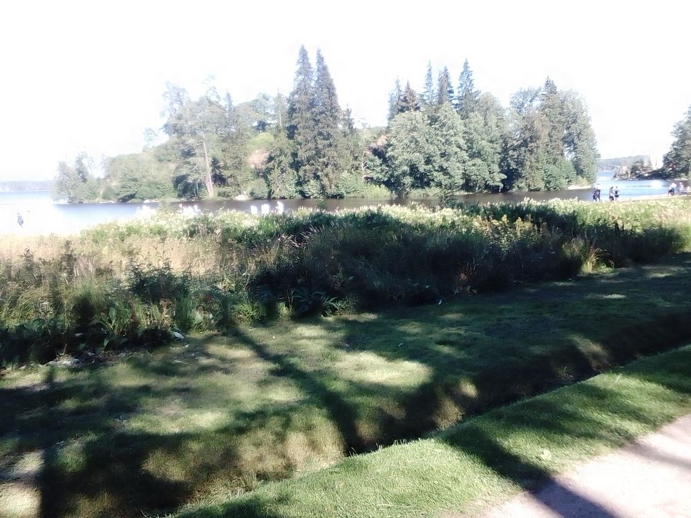 Фотография автора Irina Mihailovskaya