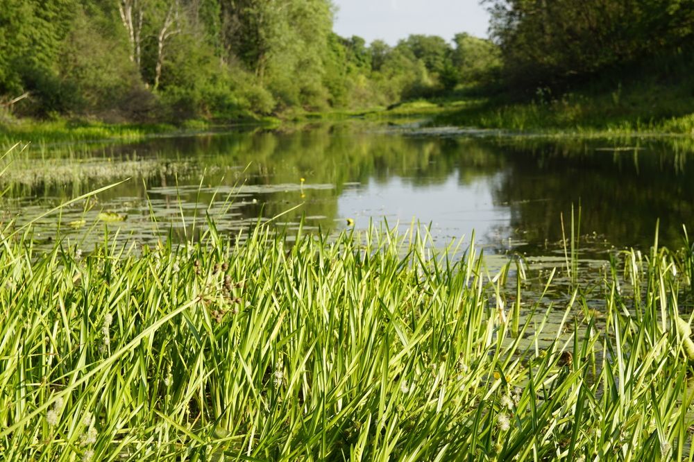 Photograph by Павлов Дмитрий