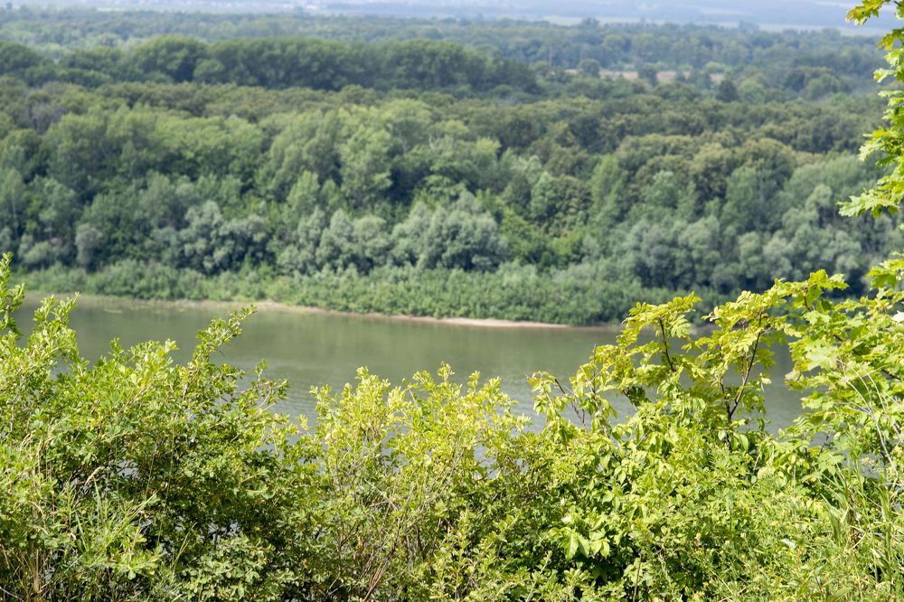 Photograph by Павлов Дмитрий