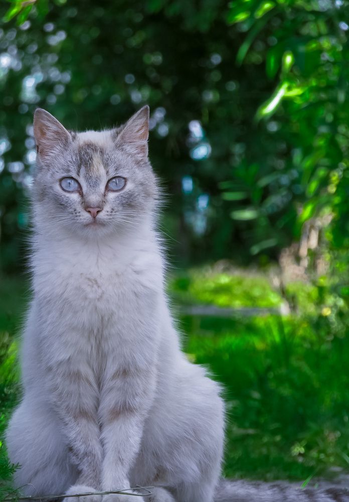 Photograph by Vladimir Kostyuchkov