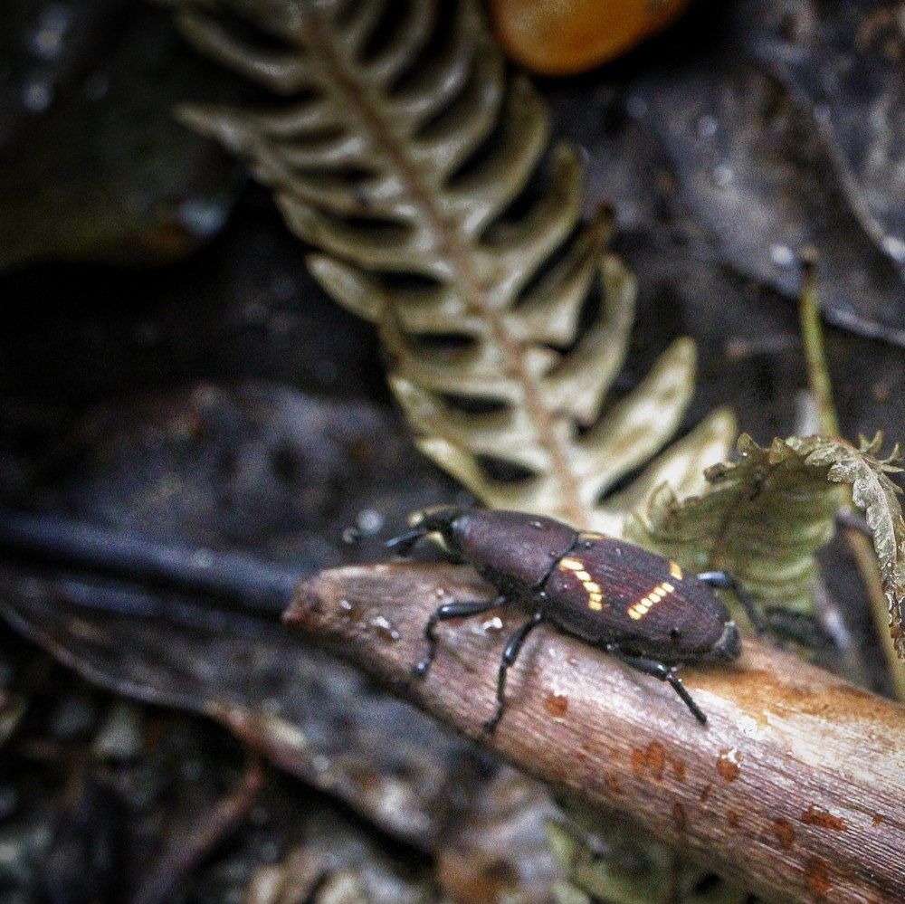 Photograph by Mauricio Mora Flores