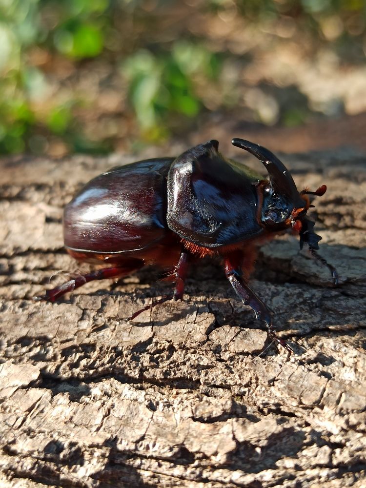 Photograph by Долгушева Татьяна