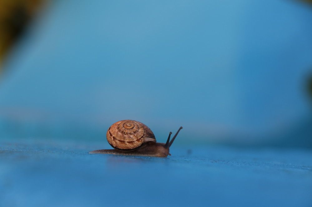 Фотография автора Hoda Esmaili