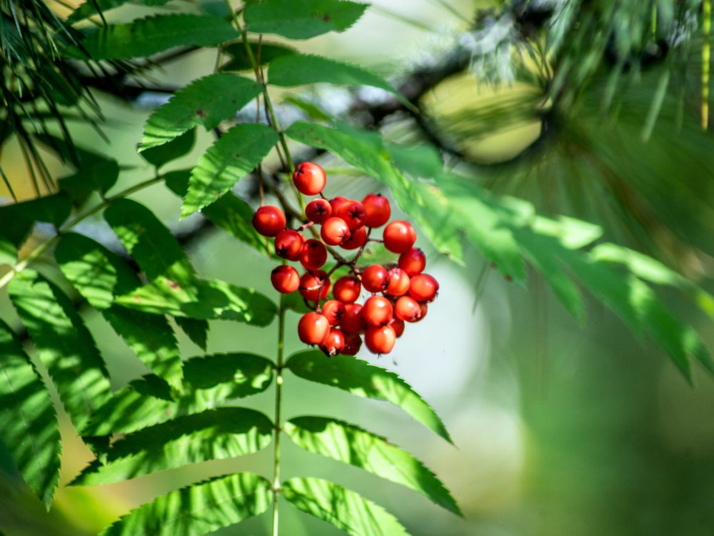 Photograph by Диана Герасимова