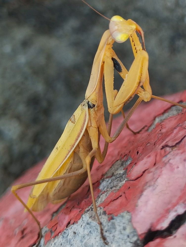 Photograph by Светлана Терехова