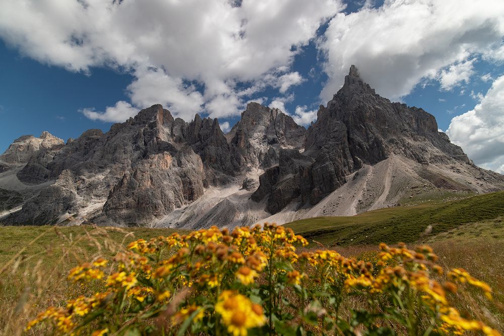 Photograph by Mattia Golin