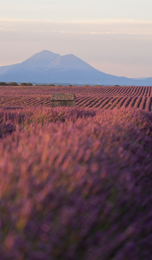 Photograph by Mattia Golin