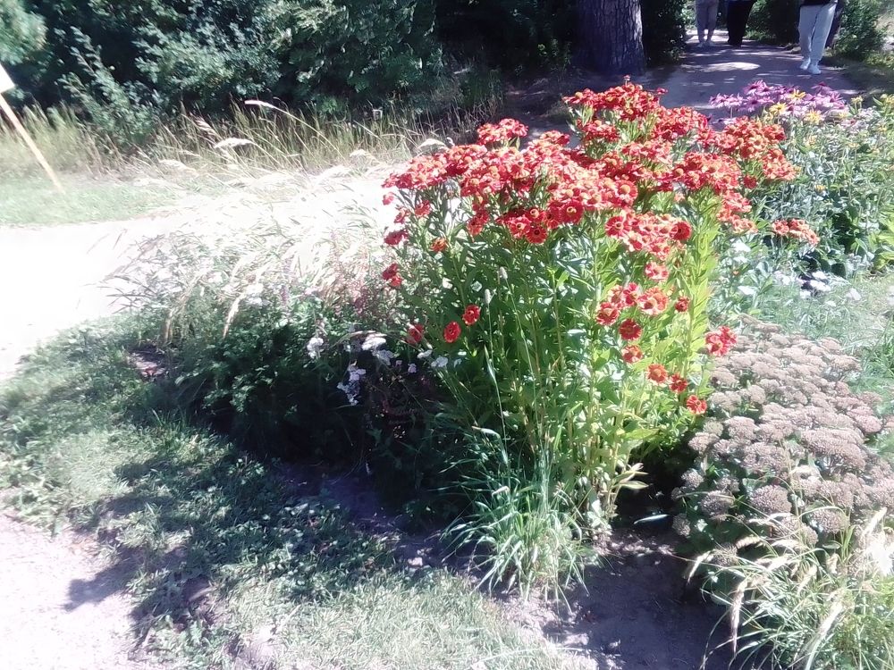 Фотография автора Irina Mihailovskaya